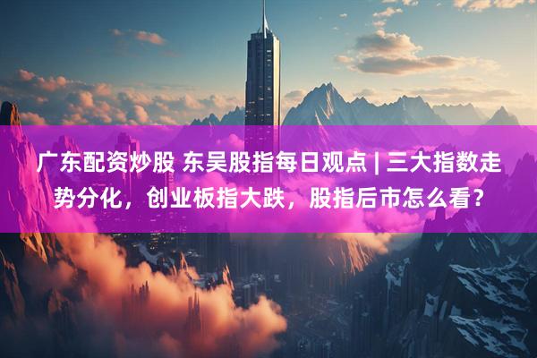 广东配资炒股 东吴股指每日观点 | 三大指数走势分化，创业板指大跌，股指后市怎么看？