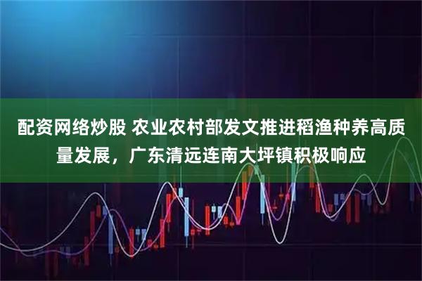配资网络炒股 农业农村部发文推进稻渔种养高质量发展，广东清远连南大坪镇积极响应